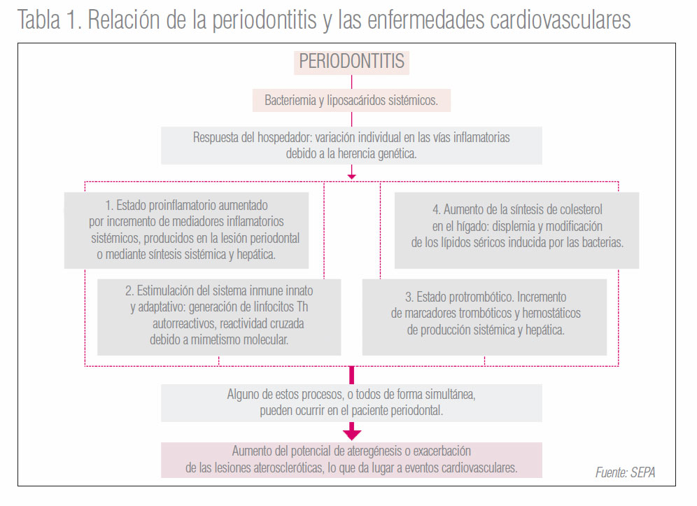 Reportaje sobre cardiología y periodoncia en la revista 'Maxillaris'